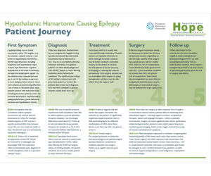 HH Patient Journey